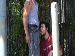 Cocksucker does not even flinch after getting busted