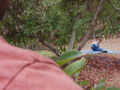 NEXTDOOR STUDIOS Gay sex among the avocado trees