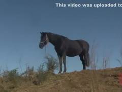 Un Dia En El Campo