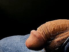 Time Lapse Cock grows from up to precum drip