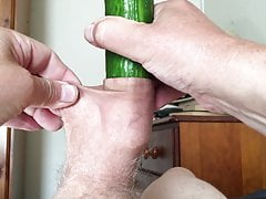 Foreskin cucumber Sunday - 2 of 9
