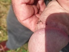Outdoor cock soft to hard