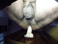New Toys Fatty