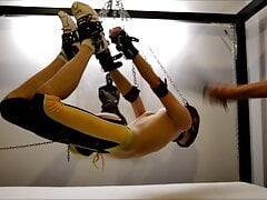 flying hogtie