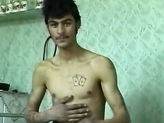 Gay tribute, faggot, gay guys