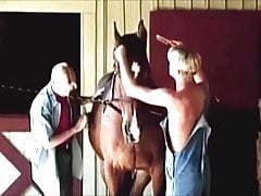 Horses,Hay and Boys that are Gay.(1).