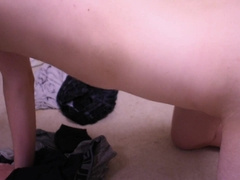 Vore Story: the Dude and the Foaming Candies