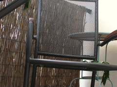 ejaculation - nettle