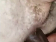 o)))    white get fucked good deep 10