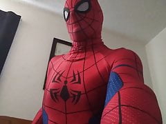 Spiderman in the morning