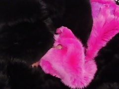 Fox fur stroking #1
