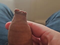 Hairy Cock Long Foreskin Play