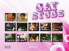 Gay studs -DVD-