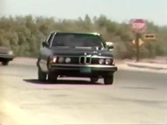 Vintage Ymac South Bay Buddies