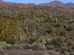 Attractive jock strips naked to jerk off solo in nature