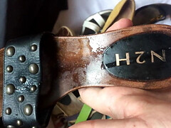 The big shoefuck party