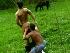 Buff farm boys Attila and Miklos fucking outdoors