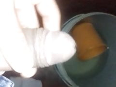 Splitting the sperm