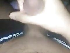 Egyptian lion masturbating