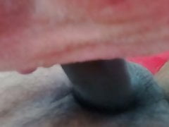 SUCKING MY DICK