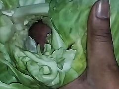 I destroy my ass fucking home vegetable in my room balckcock