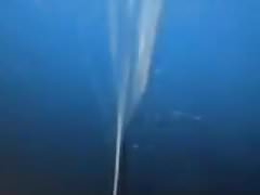 Black cum rocket 2