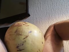 Moving huge coconut great challenge