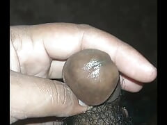 New Home Videos Great Videos in Hindi