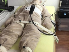 How to milk a plush bear