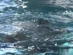 Johnny Forza Adam Baer underwater