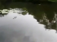 Fishing Guy Giving Head