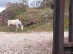 Hung Country 3 with Antonio Miracle and Martin Mazza