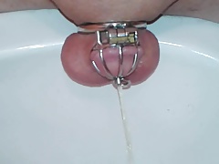 peeing in chastity with a hollow urethral plug