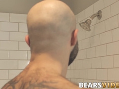 Atlas Grant shows off that bear body and tugs on his dick