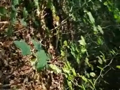 REAL SIR PUBLIC PREDOMINANCE