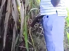 dominican monster.mp4