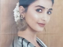Pooja Hegde cum tribute tamil
