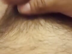 Lee BBW Wife