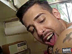 Bearded queer boy gives head and takes it in the arse