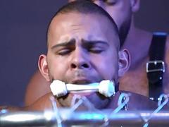 Lorenzo Flexx and Ricky Larkin are a dog and master