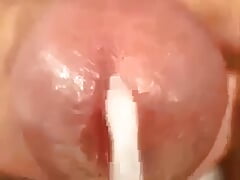 Slow motion cum is coming on penis