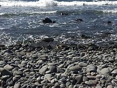 Cumshot un the beach