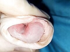 Penisplug after precum and foreskin play
