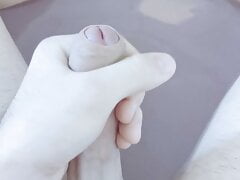 Homemade Masturbation