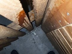 Master Ramon pisses in the basement, evil