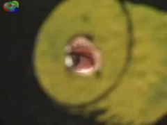 Skaters Fuck in Skate Park