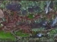 German Soldiers First Time: Swallowing Cum