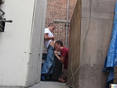 Alex Andrews shines in a very daring blowjob movie