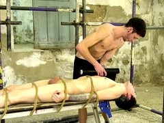 Perfectly positioned for some intense face-fucking action