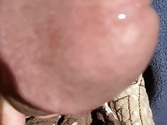 Edging and Milking cum.